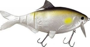 Guma Jaxon Magic Fish TX-L
